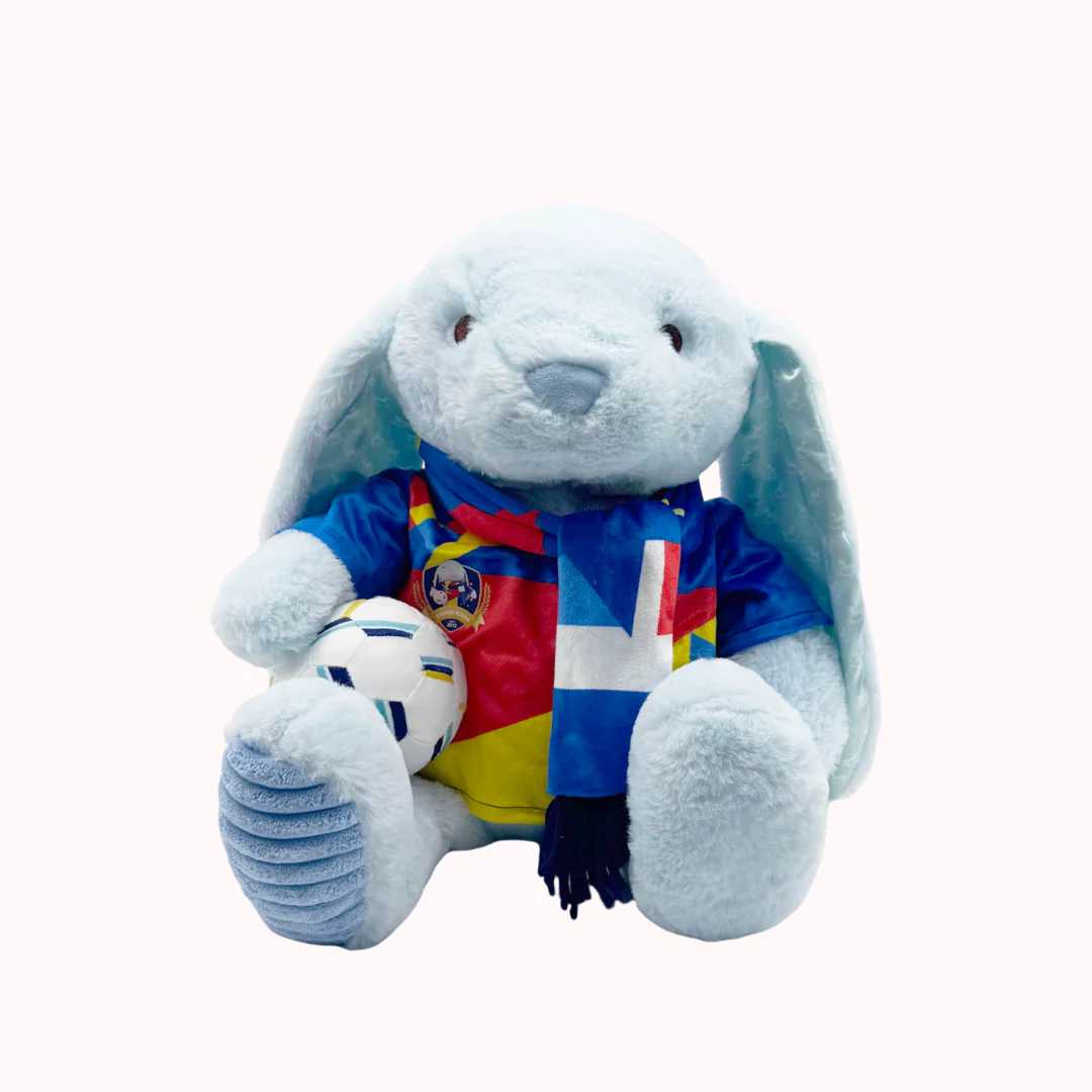 Football Plushie - Image 5