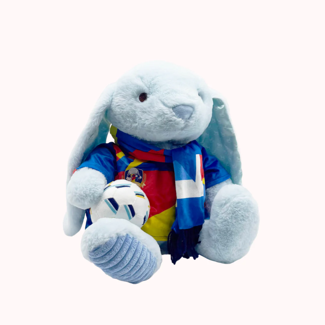 Football Plushie - Image 8